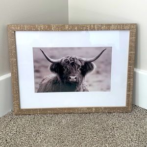 Framed highland cow 11.5x15.5